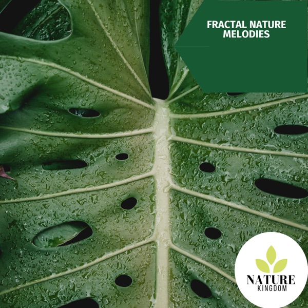 Fractal Nature Melodies