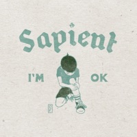 I'm Ok - Single - Sapient