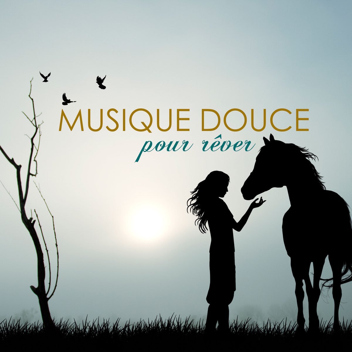 Musique Douce Ensemble: albums, songs, playlists