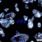 V.V.S. - Fyness lyrics