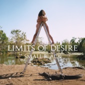 Limits of Desire artwork