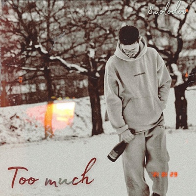 TooMuch - Single