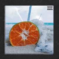 Tangerine Paradise - EP - Diego Pardo
