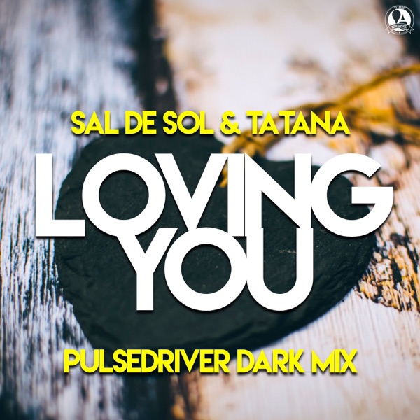 Loving You (Pulsedriver Dark Mix) - Single