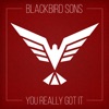 Blackbird Sons - You Really Got It