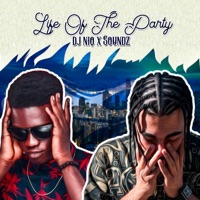 Life of the Party - Single - Dj Niq, Soundz & Stylolive