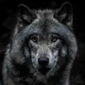 Wolves