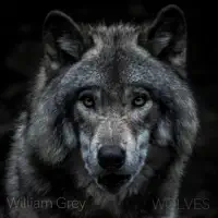 Wolves — William Grey
