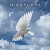 Liquid Mind XII: Peace - Liquid Mind