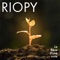 Meditation 22 - RIOPY lyrics