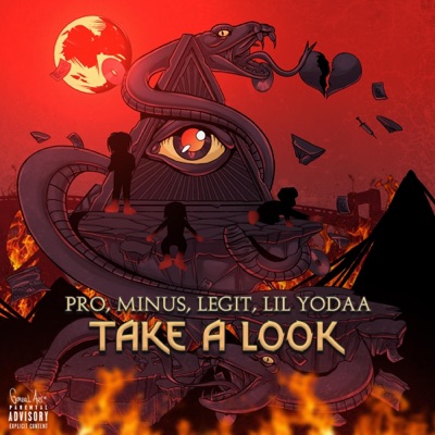 Take a Look - Single