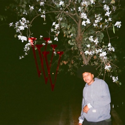V (feat. ksxnico) - Single