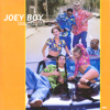 Fun Again - Joey Boy