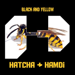 Black and Yellow - Single
