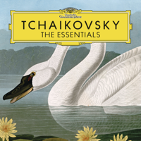 Various Artists - Tchaikovsky: The Essentials artwork