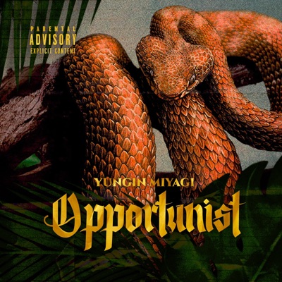 Opportunist - Single