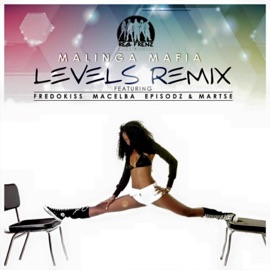 Levels (feat. Fredokiss, Episodz, Macelba & Martse) [Remix] Malinga