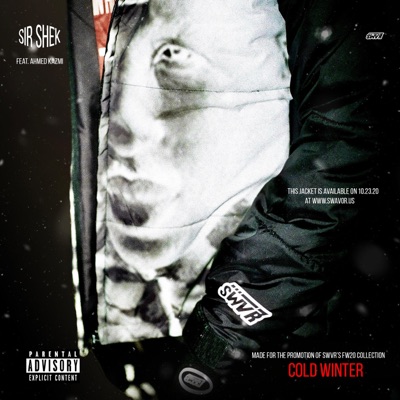 Cold Winter (feat. Ahmed Kazmi) - Single