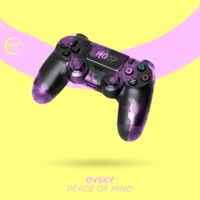 Peace of Mind (Extended Mix) - Single - OVSKY