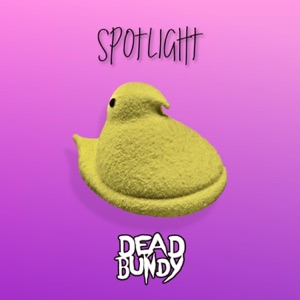Spotlight - Single