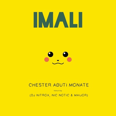 Imali (feat. DJ Nitrox, Maijor & Nic Notic) - Single