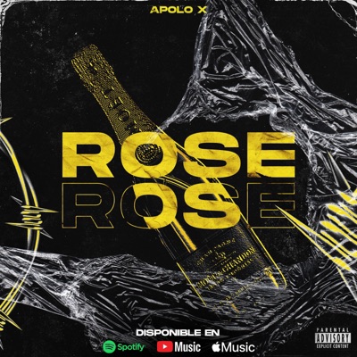 Rose - Single