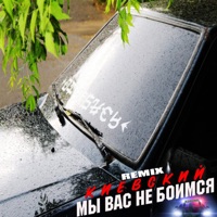 Мы вас не боимся (Remix) - Single - Киевский