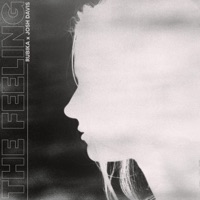 The Feeling - Single - Rubika & Josh Davis