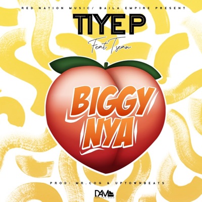 Biggy Nya (feat. Tsean) - Single