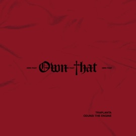 Own That (feat. KA$H, OBA & dndSection) Traplanta & Odunsi (The Engine)