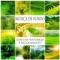 Mantra Meditação - Academia de Música de Fundo e Ambiente lyrics
