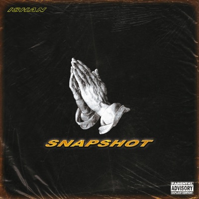 Snapshot - Single