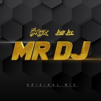 Mr Dj - Single - Dj Dancer & Luis Lee
