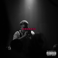 Blackalbino - Single - DMY
