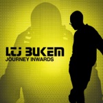 LTJ Bukem - Close To the Source