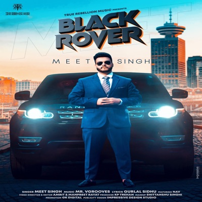 Black Rover (feat. Gurlal Sidhu) - Single