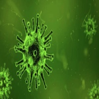 La Corona Virus - Single - El Korto