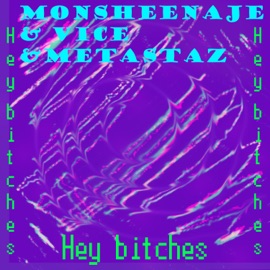 Hey Bitches (feat. Vice & Metastaz) MonsheenaJe