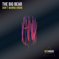 The Big Bear - Don't Wanna Know