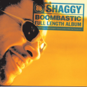 Boombastic - Shaggy Cover Art