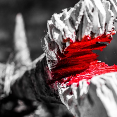 El Viaje de Floreal - Single (feat. Nicolás Mu Sánchez, Juan Bayon & Lulo Isod) - Single