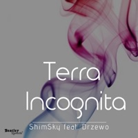 Terra Incognita (feat. Drzewo) - Single - Shimsky