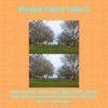 Played Twice Take 2 (feat. Marc Wilkins, Asger Baagøe & David Besiakov) - Single