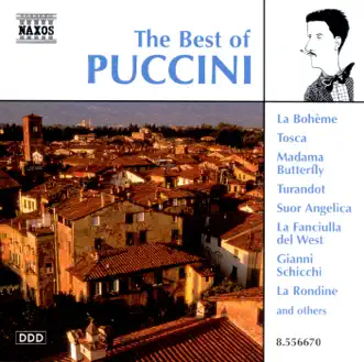 Chi Il Bel Sogno di Doretta from La Rondine by Luba Orgonasova, Slovak Radio Symphony Orchestra & Will Humburg song reviws