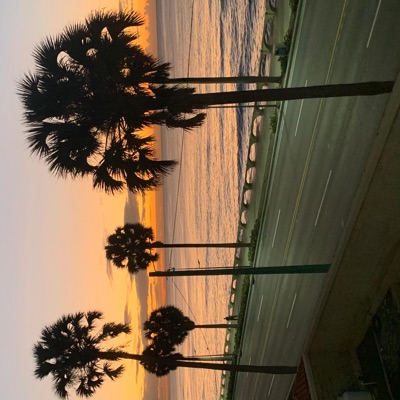 Santo Domingo - Single