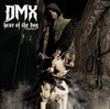 Intro by DMX iTunes Track 4