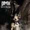 Dog Love  (feat. Janyce and Amerie) - DMX lyrics