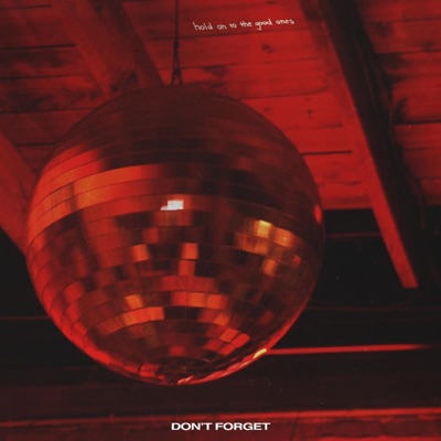Don't Forget - Single