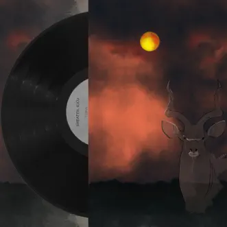 Greater Kudu by Tora Gargallo song reviws