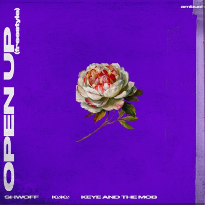 Open up (Freestyle) [feat. KØKØ] - Single